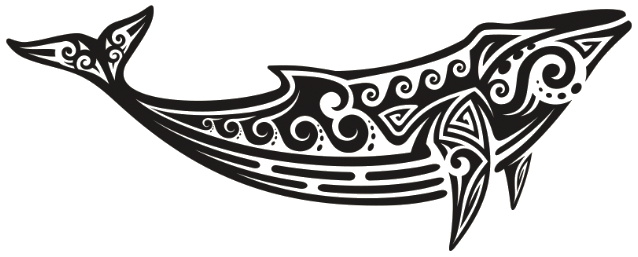 Andrra whale